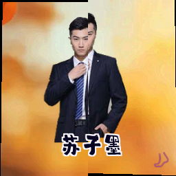 苏子墨